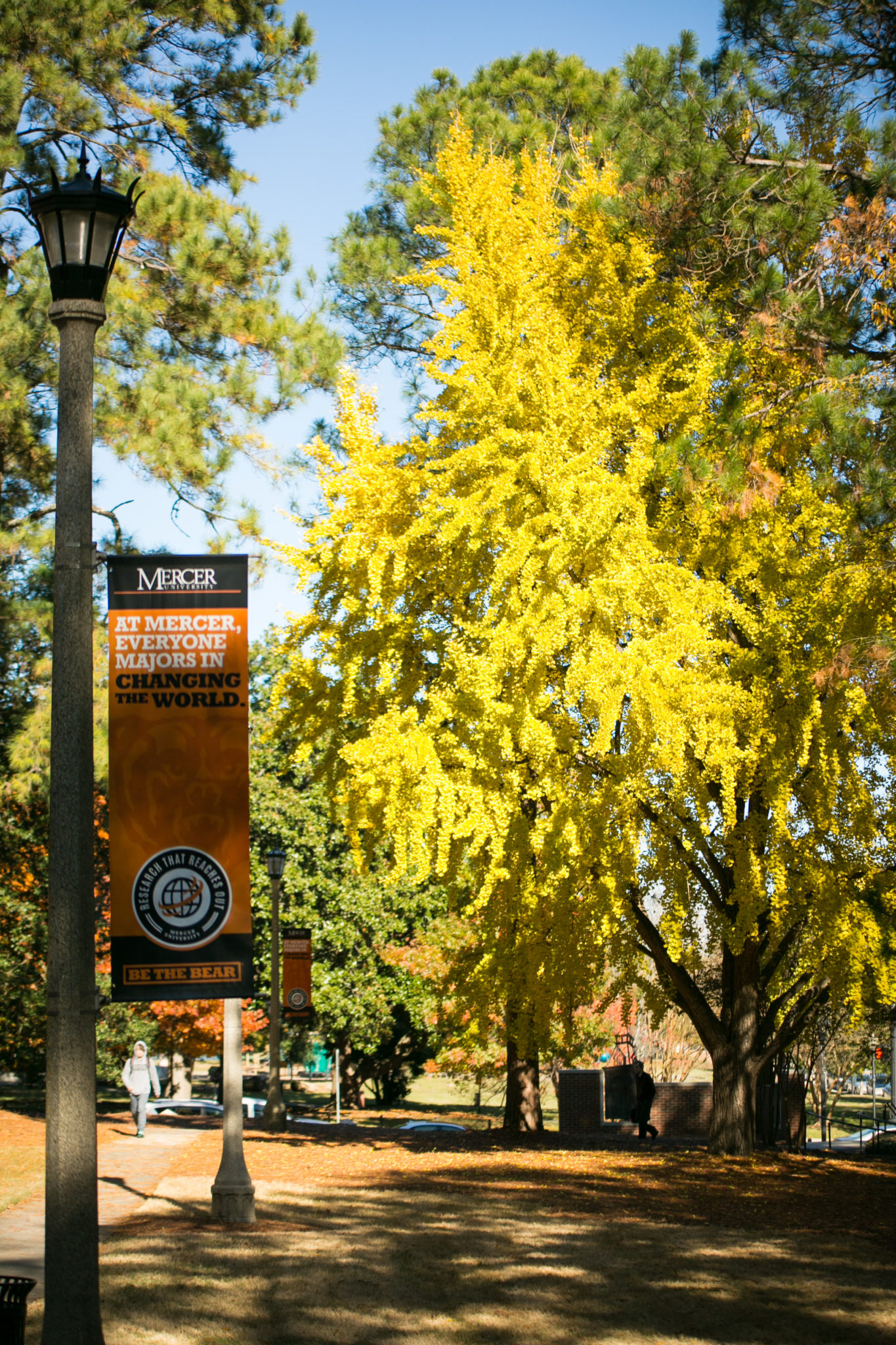 A banner on campus reads, 