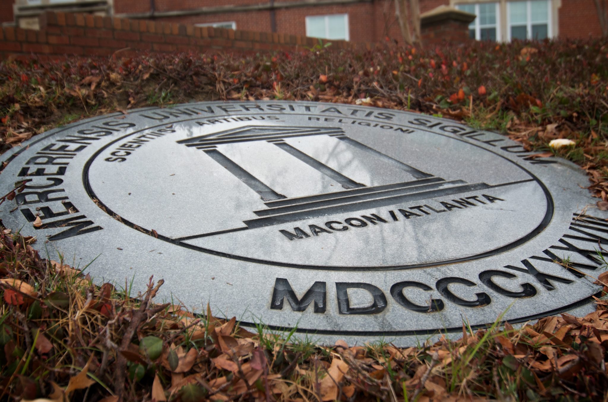 Mercer seal